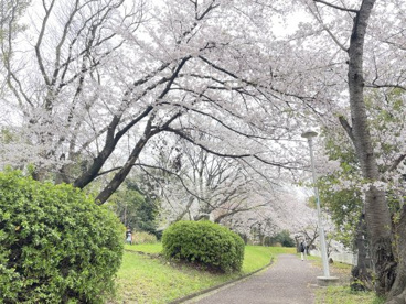 竹城公園の画像4