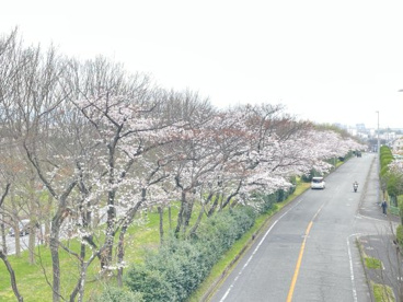 竹城公園の画像5