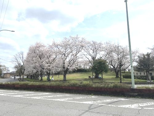 久喜市コミュニティ広場の画像