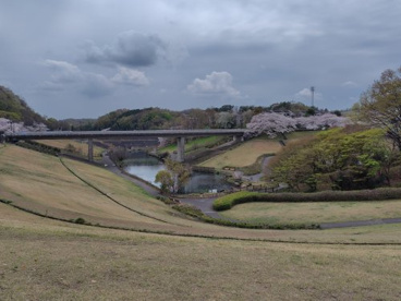若宮公園の画像1
