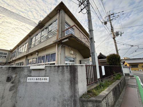 の画像