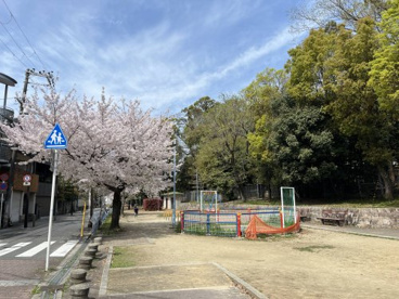 山坂公園の画像1