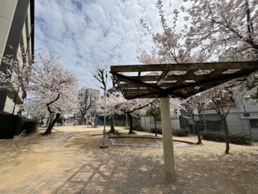 北田辺中公園の画像1