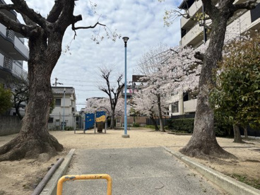北田辺中公園の画像2
