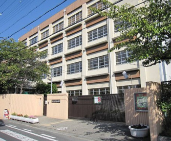 七松小学校の画像1