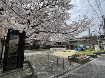 北田辺公園の画像1
