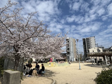 桑津東公園の画像1