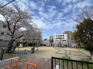 桑津北公園の画像1