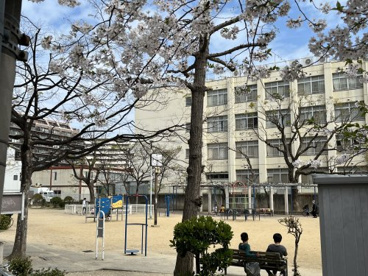 高松公園の画像2