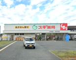 スギ薬局 上坂部店