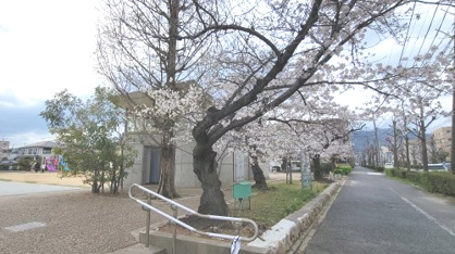 宮塚公園の画像1