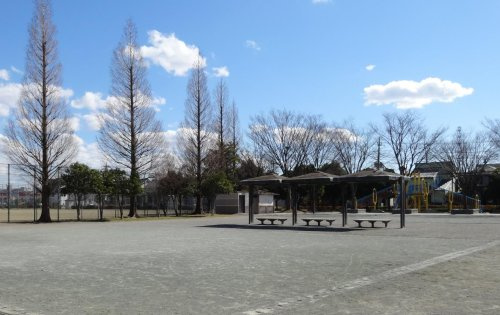 の画像