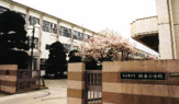 瀬古小学校