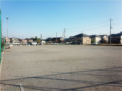 光の公園の画像