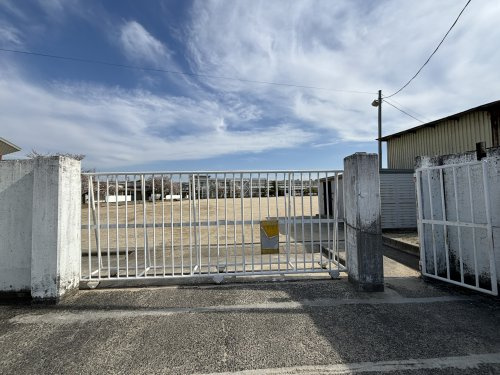 の画像