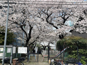 睦児童園の画像1