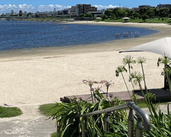平和島緑地の画像1