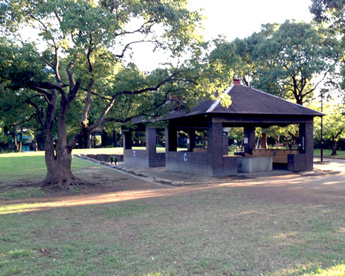 平和島公園キャンプ場の画像1