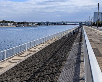 おおたキャナルサイドウォーク公園の画像1