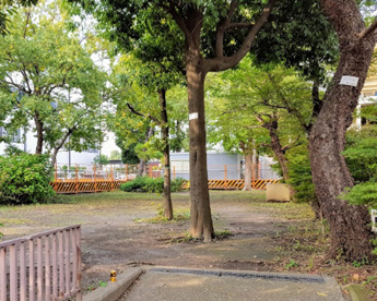 東糀谷第二公園の画像1