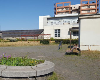 海老取川公園の画像1