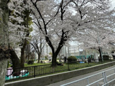 浦江公園