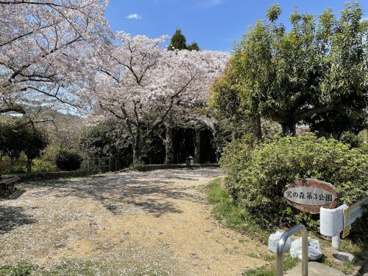 鶯の森第３公園の画像2