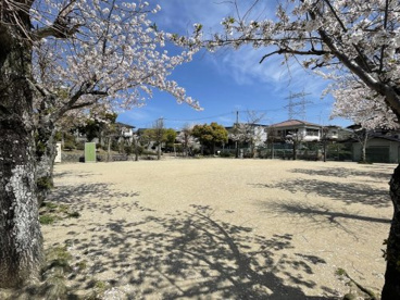 鶯の森第２公園の画像2