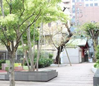 松本町児童遊園の画像1