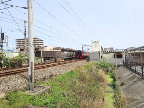 の画像