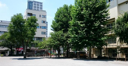 柳北公園の画像1