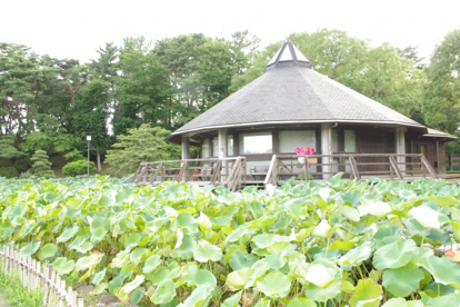 千葉公園の画像2