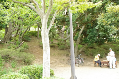 千葉公園の画像4
