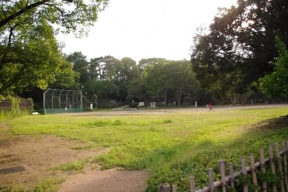 千葉公園の画像5