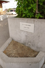 さくさべ坂診療所の画像2