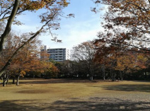 茅ヶ崎中央公園