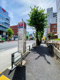 中野北郵便局前バス停(練馬駅・赤羽駅・王子駅行き)の画像2