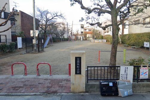 の画像