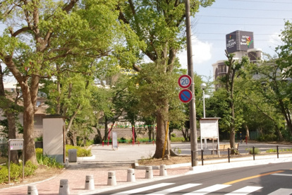 山部第２公園の画像1