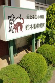 鈴木動物病院の画像1