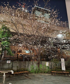 金杉橋児童遊園の画像1