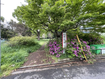 和田堀公園の画像1