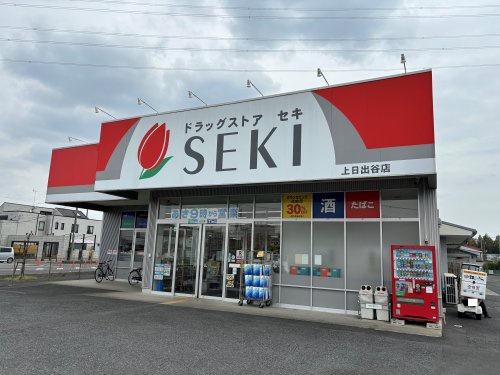 ドラッグストア ドラッグストアセキ 上日出谷店