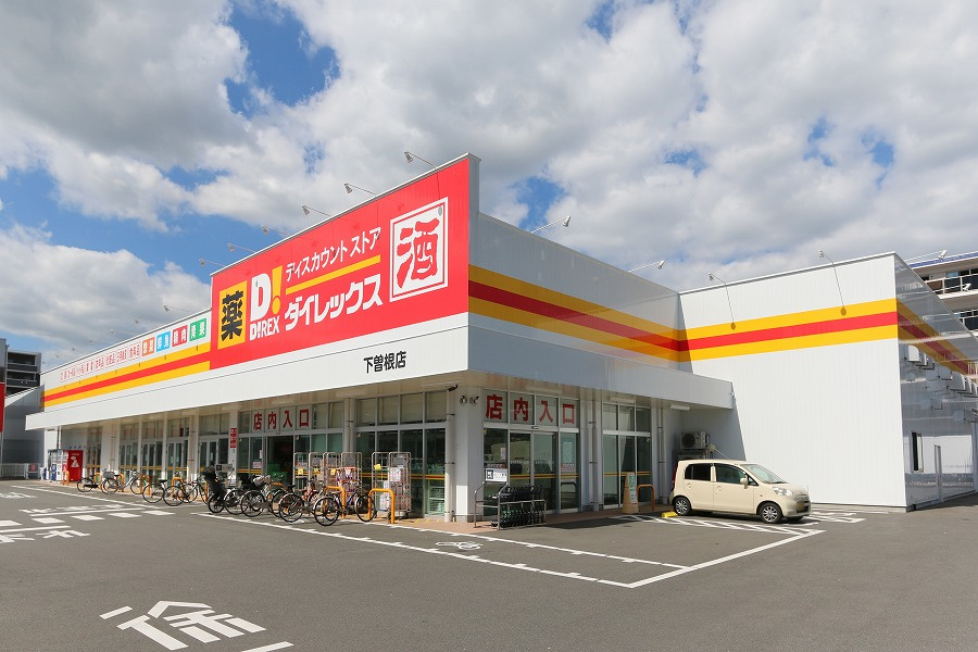 の画像