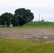 かわきた自然運動公園の画像1