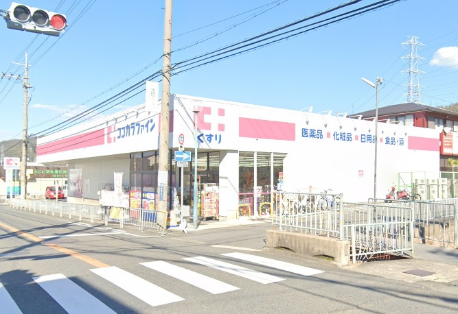 の画像