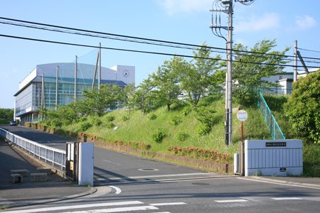 の画像