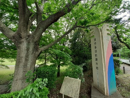 公園 深作多目的遊水地