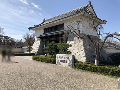 の画像