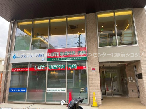 しばた形成外科・内科